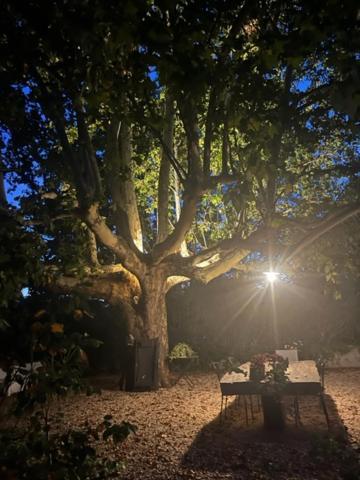 Puyvert Appartement De Charme En Duplex Au Calme Avec Jardin Et Acces Piscine - Proche Lourmarin Eksteriør billede