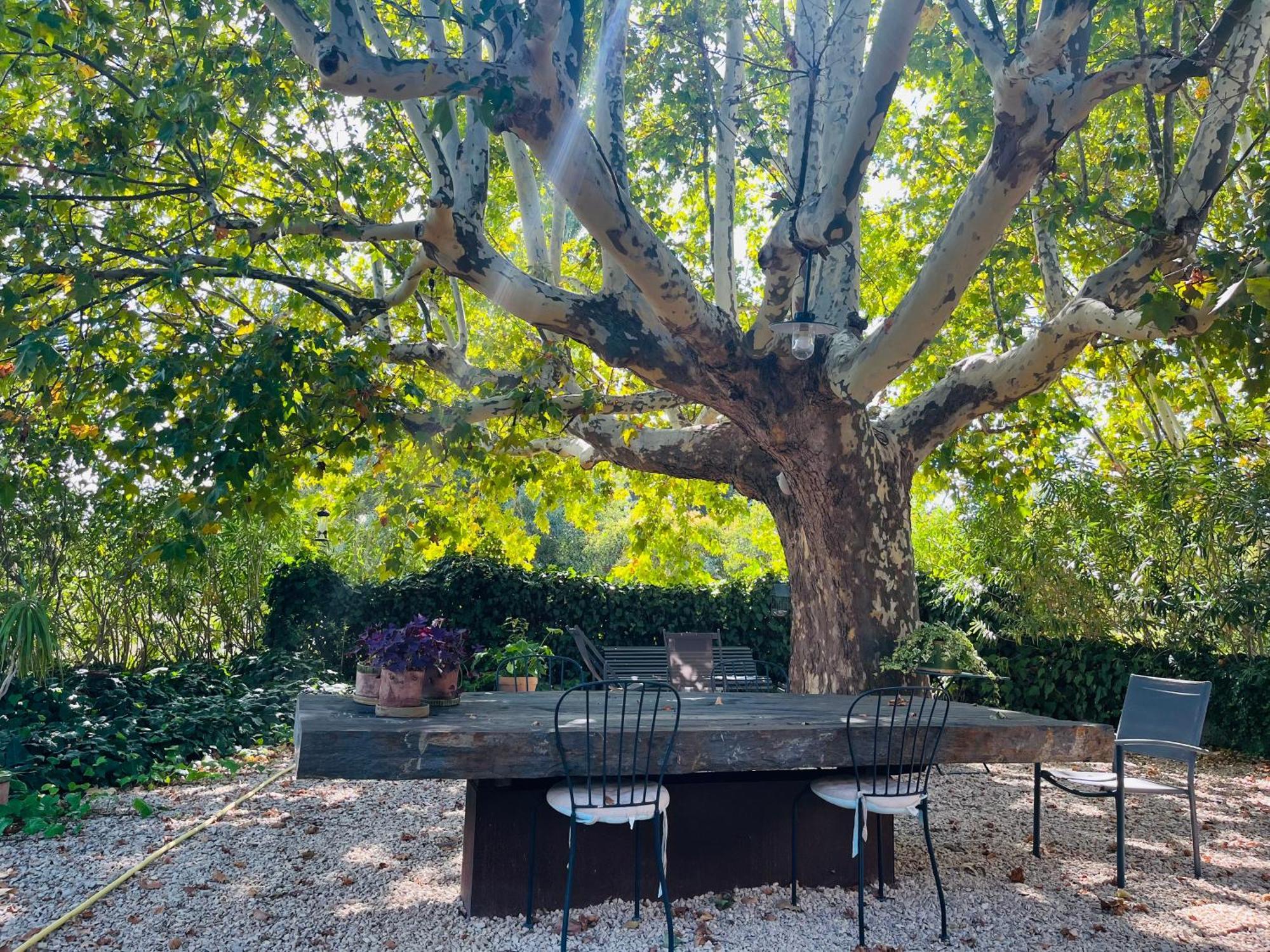 Puyvert Appartement De Charme En Duplex Au Calme Avec Jardin Et Acces Piscine - Proche Lourmarin Eksteriør billede